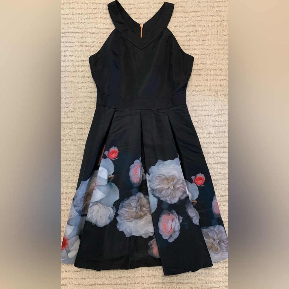 Ted Baker dress - Ted size 2 (US 6)